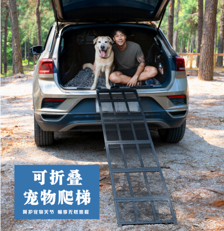 Vendor showcase Image_20251111072522_146_77